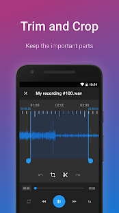 Gemakkelijke Voice Recorder Pro