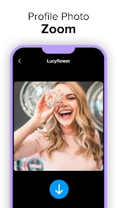 Profile Viewer Story Download