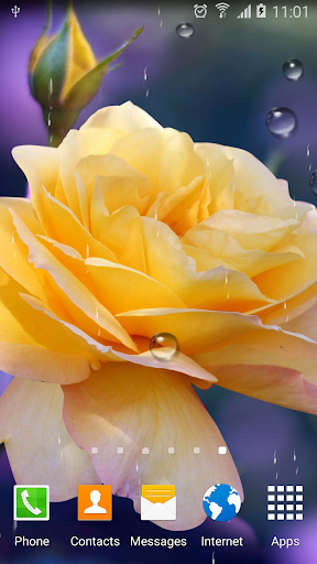Roses Wallpaper Screen 2
