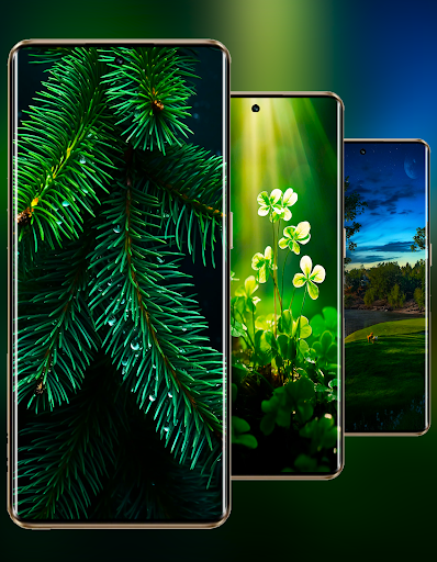 Oppo Reno 11 Pro Wallpaper Screen 3