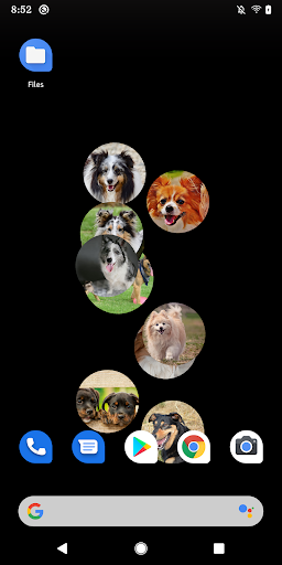 Android application Dog LWP screenshort