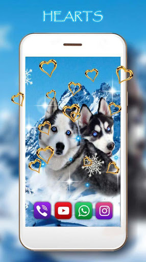 Husky Best Dogs By App New Guinn Google Play 日本 Searchman アプリマーケットデータ