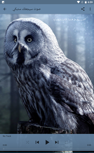 اصوات مخيفة للمونتاج - 2021