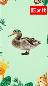 Duck Sounds Real Tone 3D