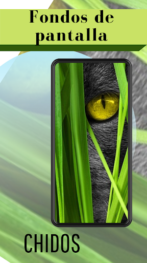 Android application Fondos de Pantalla Chidos screenshort