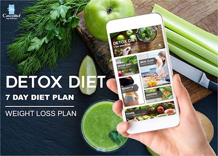 Detox Diet Plan 1