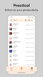 Simple File Manager Pro