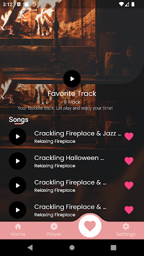 Relaxing Fireplace Screen 2
