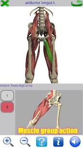 Visual Anatomy 2 APK (Paid) 3