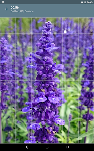 Captura 10 Rompecabezas: Flores android