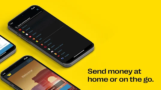 Western Union Send Money Now