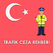 Trafik Ceza Rehberi 2020