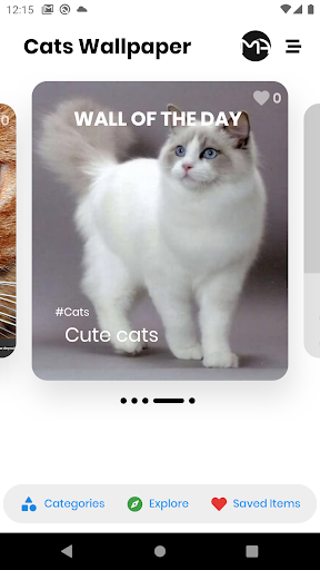 Cats Wallpapers  Backgrounds