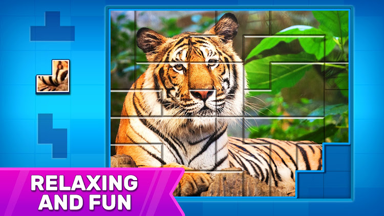 Puzzles: Jigsaw Puzzle Games - 1.1.7 - (Android)