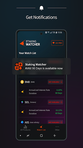 Staking Watcher Screen 2