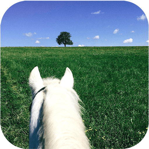 Young Rider Magazine Download on Windows