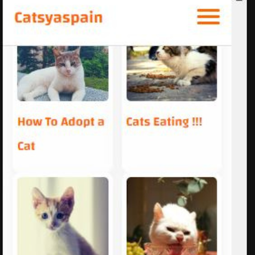 Android application Catsyaspain screenshort
