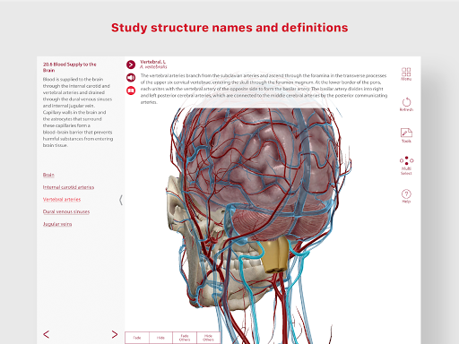Anatomy & Physiology - Medical - apps