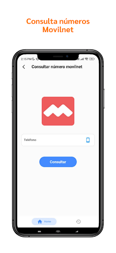 Consulta Saldo Venezuela Screen 2