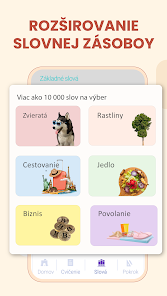 Snímka obrazovky