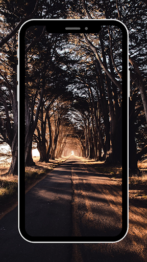 Android application Road Wallpaper screenshort