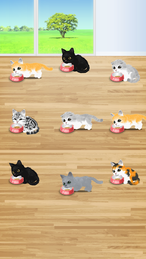 Android application Cat Pet screenshort