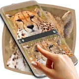 Cheetah Keyboard Theme icon