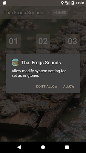 Thai Frog Sounds Screen 3