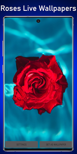Android application Roses Water Live Wallpaper screenshort