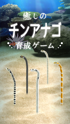 癒しのチンアナゴ育成ゲーム Androidアプリ Applion