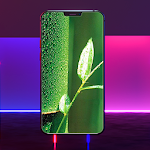 Cover Image of ดาวน์โหลด Fresh Bamboo Wallpaper 3.0 APK