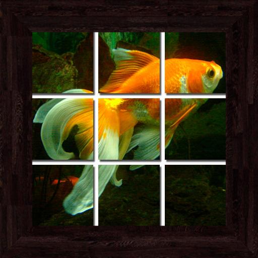 Underwater Puzzles - 101 pictu