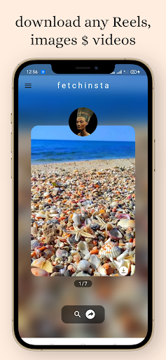 fetchinsta - insta downloader