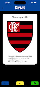 Puzzle Brasileirão