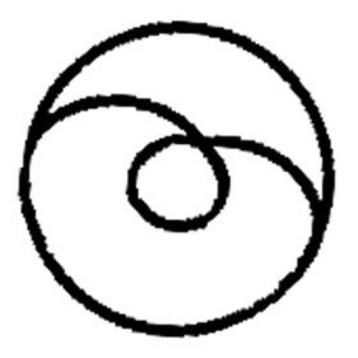 Gaia Danzo logo