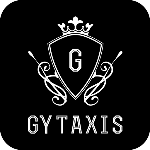 GY TAXIS 1.9 Icon