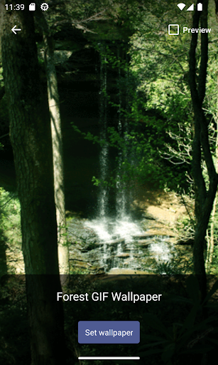Forest GIF Wallpaper Screen 3
