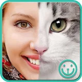 nFace - Best Face Morphing icon