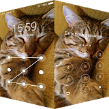 AppLock  Cat Sleeping icon