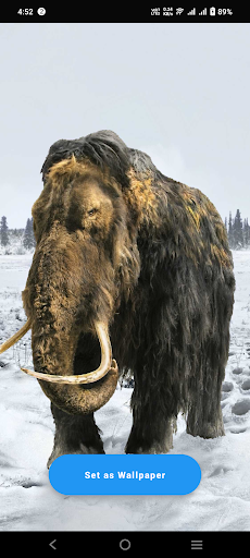 Android application Mammoth Wallpaper screenshort