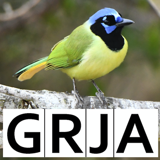 Bird Code Lookup logo