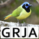 Bird Code Lookup - Androidアプリ