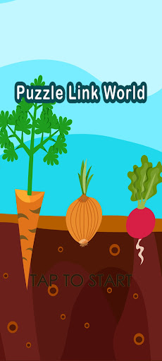 Puzzle Link World