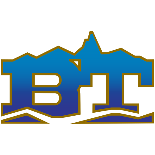 BT Drive logo