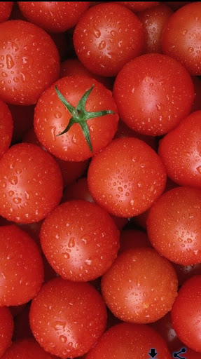 Android application Tomato Wallpapers screenshort