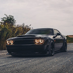 Cover Image of ดาวน์โหลด Muscle Cars Wallpapers  APK