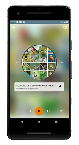 Suara Kicau Burung Lengkap