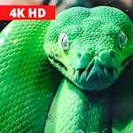 Cover Image of Download Snake Wallpaper Live HD 1.0 APK