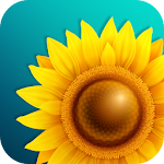 Cover Image of Unduh Gallery 1.0.0 APK