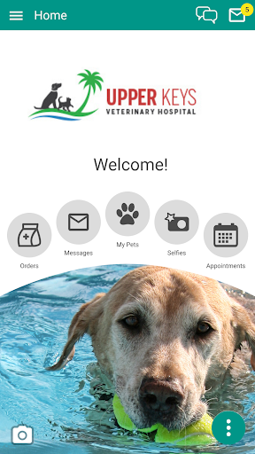 معاينة التطبيق